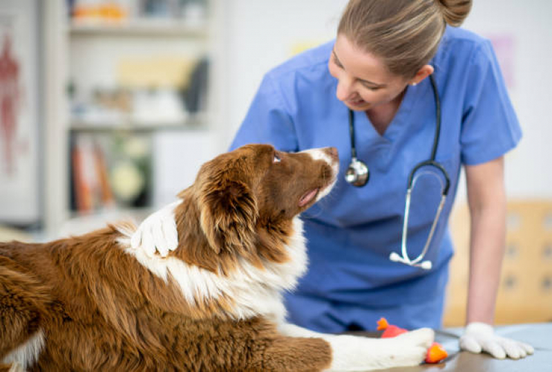 Endereço de Clínica Veterinária Emergência Zona Industrial - Clínica Veterinária com Produtos Naturais Lago Norte