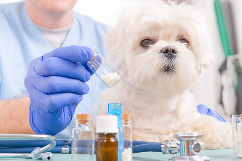 Homeopatia para Animais de Estimação Tratamento SETOR DE INDUSTRIA GRAFICA BIOTIC - Homeopatia para Cachorros