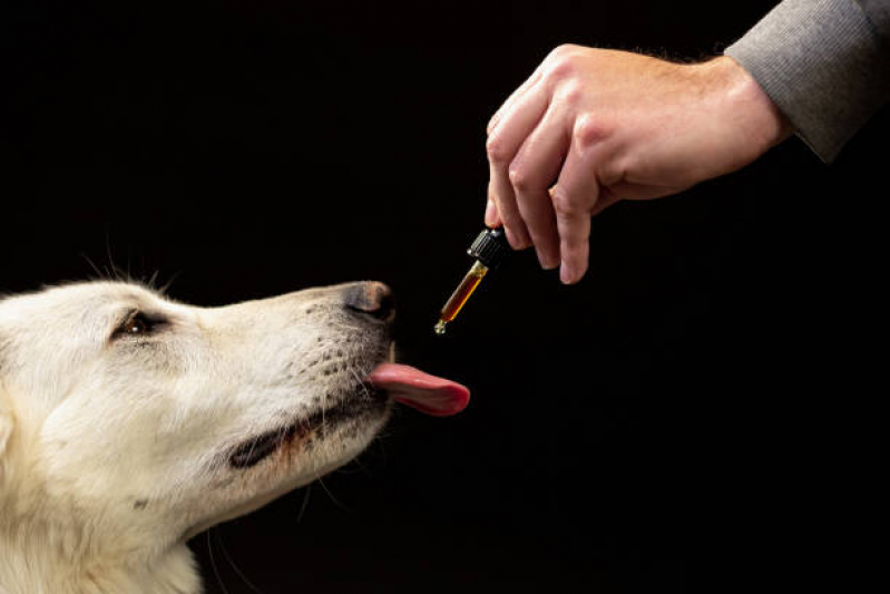 Homeopatia para Cachorro Tratamento EPNB Estrada Parque Núcleo Bandeirante - Homeopatia para Gatos