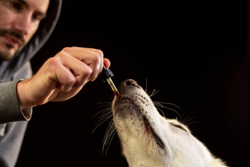 Homeopatia para Cachorros SCN SETOR COMERCIAL NORTE - Homeopatia para Pets