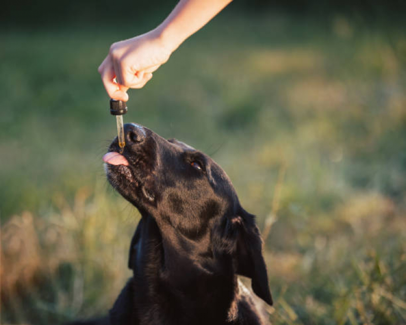 Homeopatia para Cães e Gatos ZV Zona Verde - Homeopatia para Cachorros