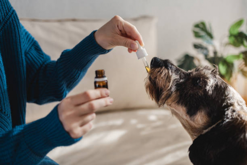 Homeopatia para Cães Tratamento SHTS Setor Hoteleiro Sul - Homeopatia para Cachorros