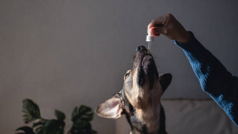 Homeopatia para Cães Zona Industrial - Homeopatia Animal