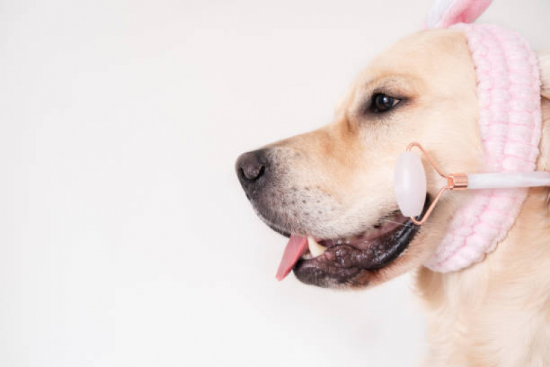 Naturopatia para Cachorro Vila Telebrasília - Naturopatia para Animais Brasília