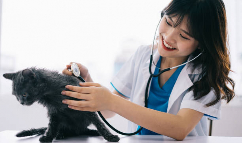 Neurologia Animal Condomínio Ville de Montagne - Neurologia para Gatos