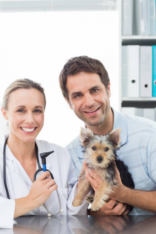 Neurologia para Cachorro Setor de Clubes Sul - Neurologia para Animais