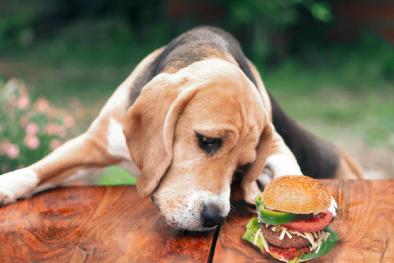 Nutrição Animal Veterinária Eixo L - Nutrição Veterinária Canina