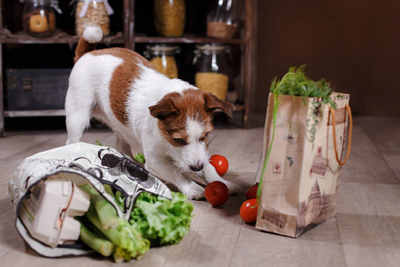 Nutrição Veterinária Canina PTP Praça dos Três Poderes - Nutrição Veterinária para Cachorros