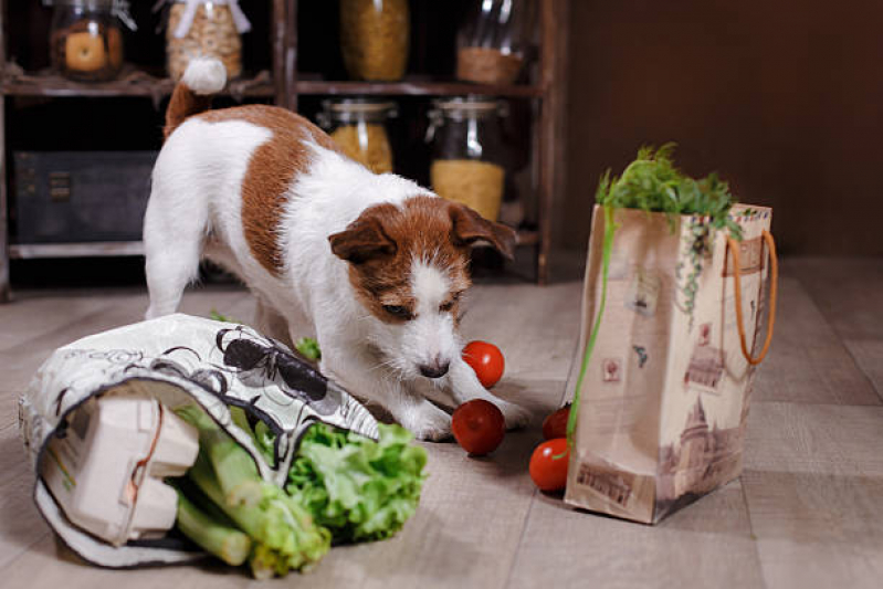 Nutrição Veterinária para Cachorro SIA - Nutrição Veterinária Canina