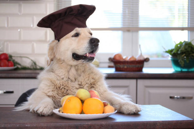 Nutrição Veterinária para Cachorros Marcar SETOR DE HOTEIS E TURISMO NORTE - Nutrição Veterinária Canina