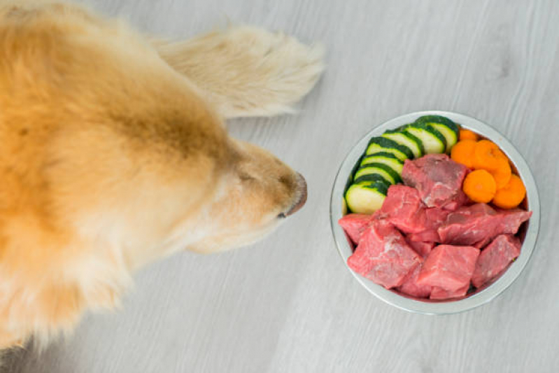 Nutrição Veterinária para Gatos e Cachorros Cruzeiro Novo - Nutrição Veterinária para Cachorro