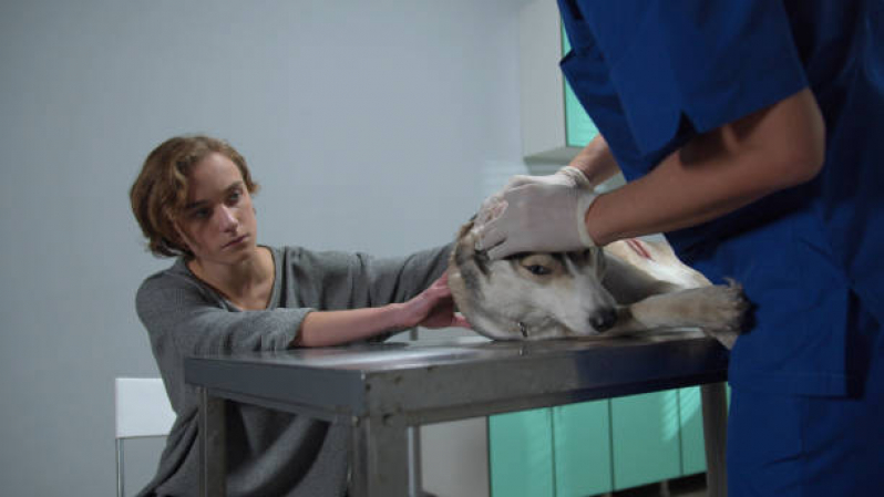Oncologia de Animais Agendar Praça dos Três Poderes - Oncologia para Cachorro de Pequeno Porte