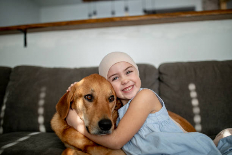 Oncologia em Cães Centro - Oncologia para Cachorros