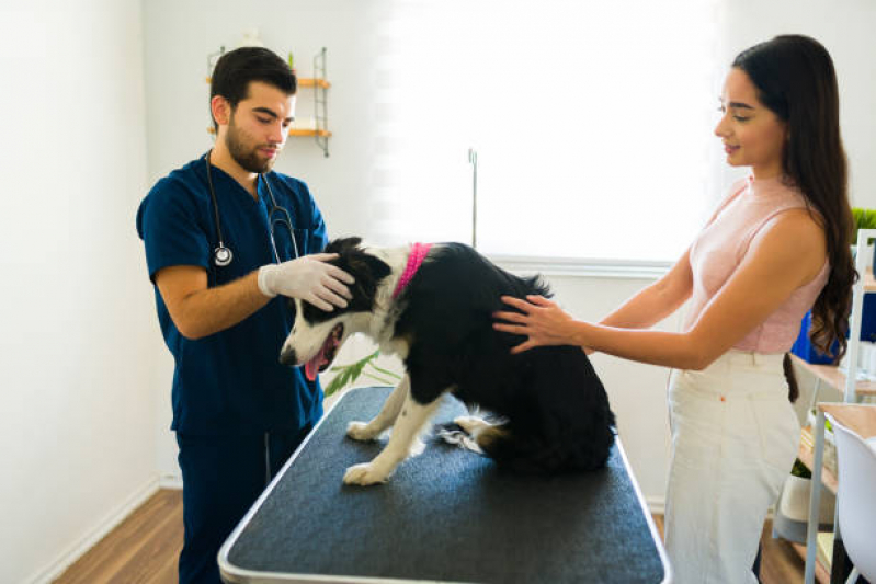 Oncologia para Cães Agendar EPNB Estrada Parque Núcleo Bandeirante - Oncologia para Cães