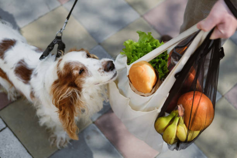 Onde Agendar Nutrição Veterinária para Cachorros Condomínio Alphavile - Nutrição Veterinária Animal