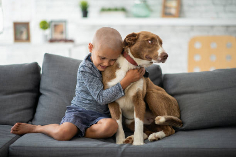 Onde Agendar Oncologia para Cachorro Condomínio Quintas da Alvorada - Oncologia de Cachorro