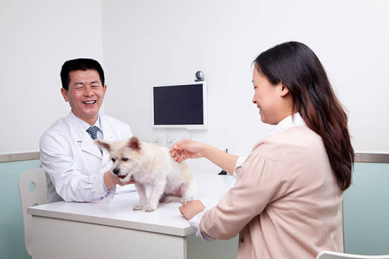 Onde Encontrar Dermatologista Animais SIG Setor de Indústrias Gráficas - Dermatologia em Cães e Gatos