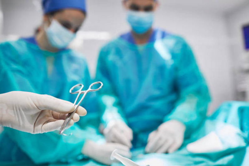 Onde Faz Cirurgia Veterinária PRAÇA DOS TRIBUNAIS PRAÇA DO BURITI SIG - Cirurgia para Animais de Estimação