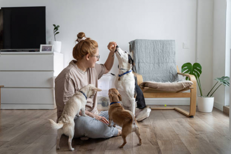 Onde Marcar Endocrinologia para Cachorro Lado Sul - Endocrinologia para Pet Brasília