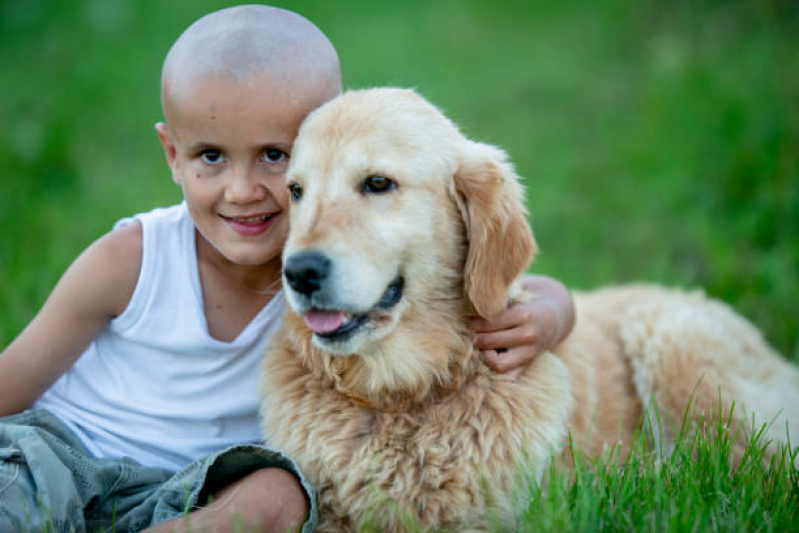 Onde Marcar Oncologia para Animais BIOTIC - Oncologia Cães de Grande Porte
