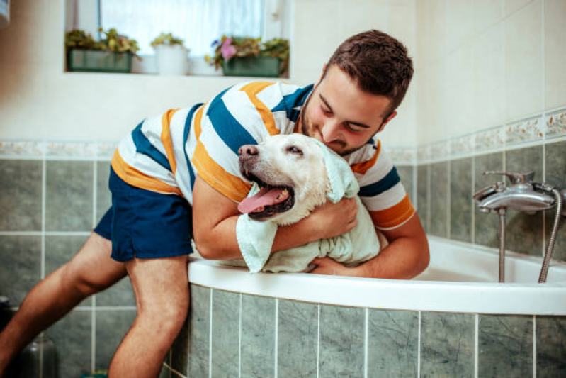 Onde Tem Banho Terapêutico para Animais de Estimação Eixo L - Banho Terapêutico para Animais