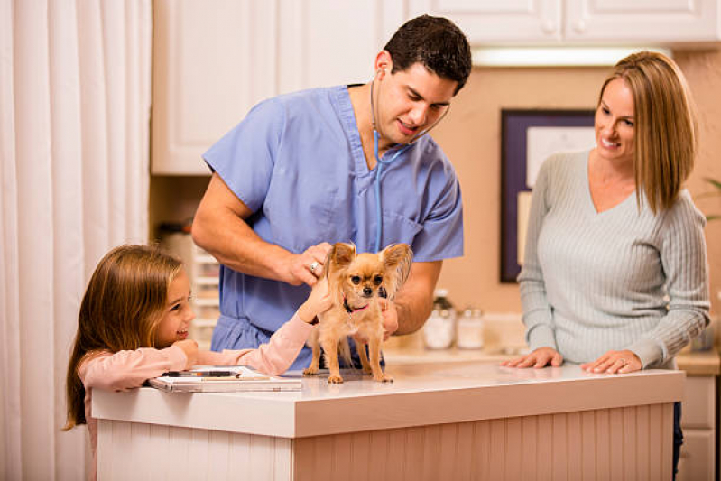 Onde Tem Consulta de Ortopedia para Pet ZR Zona Residencial - Consulta de Fisioterapia para Pet