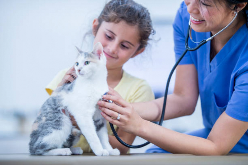 Onde Tem Consulta de Ozonioterapia para Pet Guará I - Consulta de Oncologia para Pet