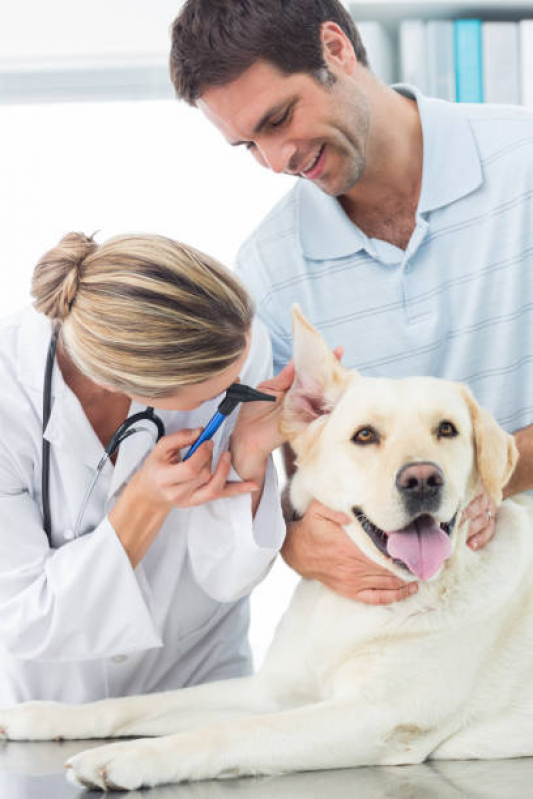 Onde Tem Dermatologia de Pequenos Animais Setor de Clubes Sul - Dermatologista para Cães