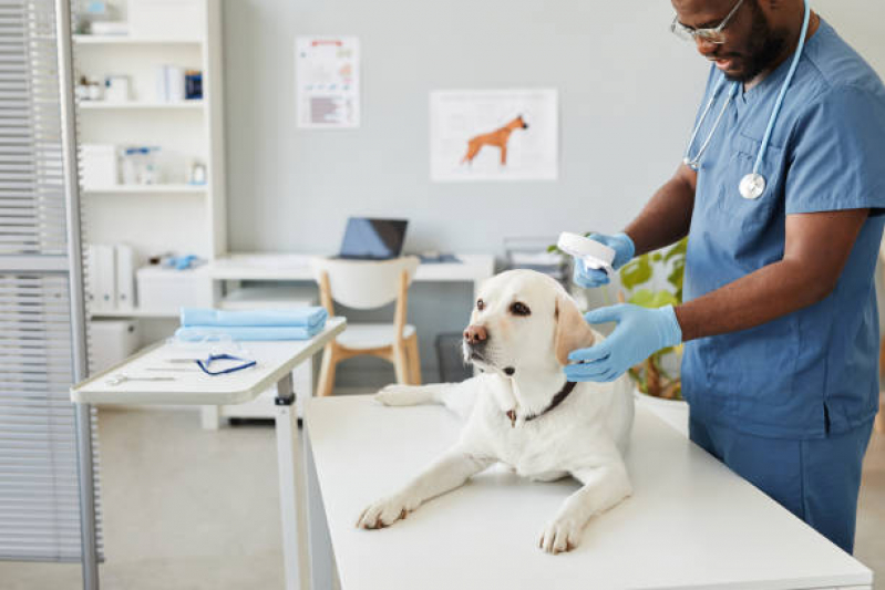 Onde Tem Dermatologia em Pequenos Animais SBN SETOR BANCÁRIO NORTE - Dermatologista para Cachorro Asa Norte