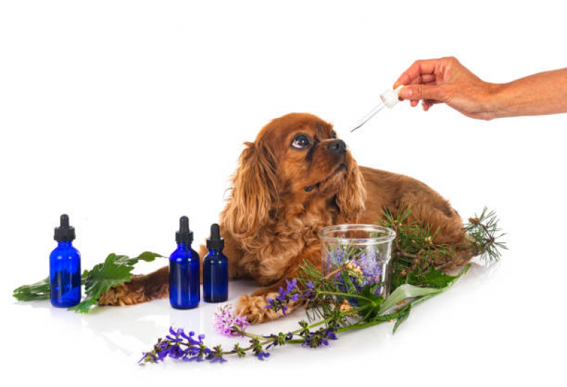 Onde Tem Naturopatia para Cachorros Sobradinho II - Naturopatia para Animais