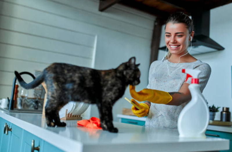 Onde Tem Nutrição Veterinária para Gatos ERL Norte - Nutrição Veterinária para Gatos