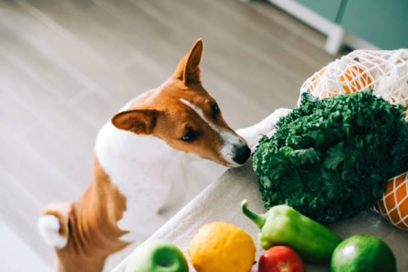 Onde Tem Nutrição Veterinária para Pequenos Animais Sobradinho II - Nutrição Veterinária Canina