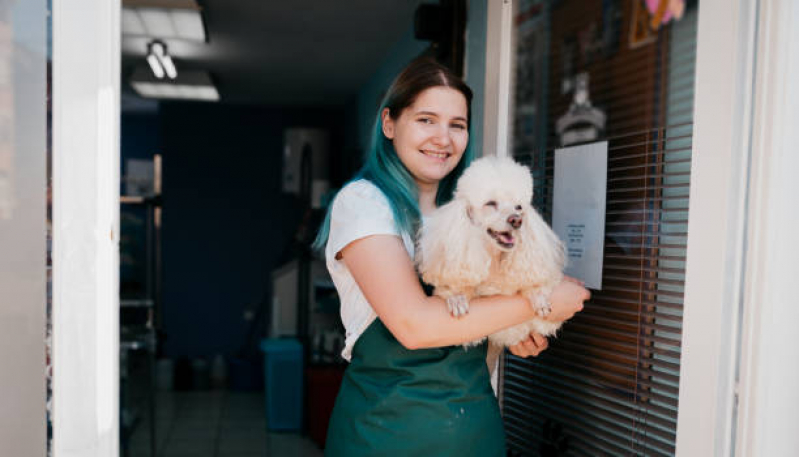 Pet Shop com Banho e Tosa Telefone Águas Claras - Pet Shop para Cachorros