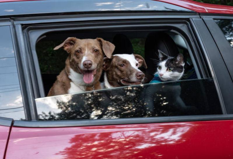 Pet Shop Leva e Traz Lago Oeste - Pet Shop com Banho e Tosa