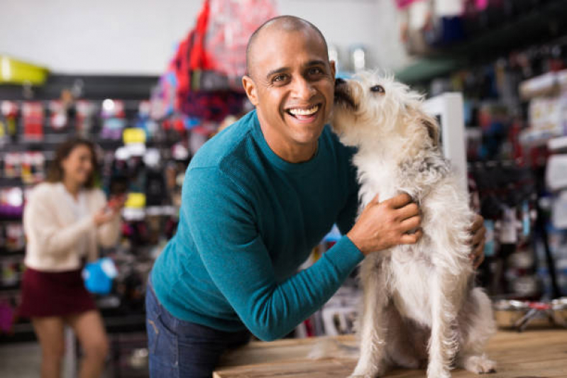 Pet Shop Próximo a Mim Telefone SETOR DE CLUBES NORTE - Pet Shop Banho