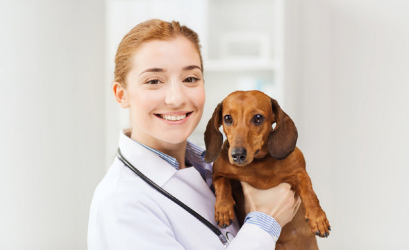 Telefone de Clínica Geral na Area da Medicina Veterinária Condomínio Ville de Montagne - Clínica Geral Veterinária Lago Noroeste