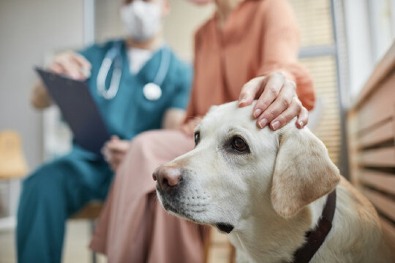 Telefone de Clínica Geral para Animais PTP Praça dos Três Poderes - Clínica Geral Veterinária Perto Lago Norte