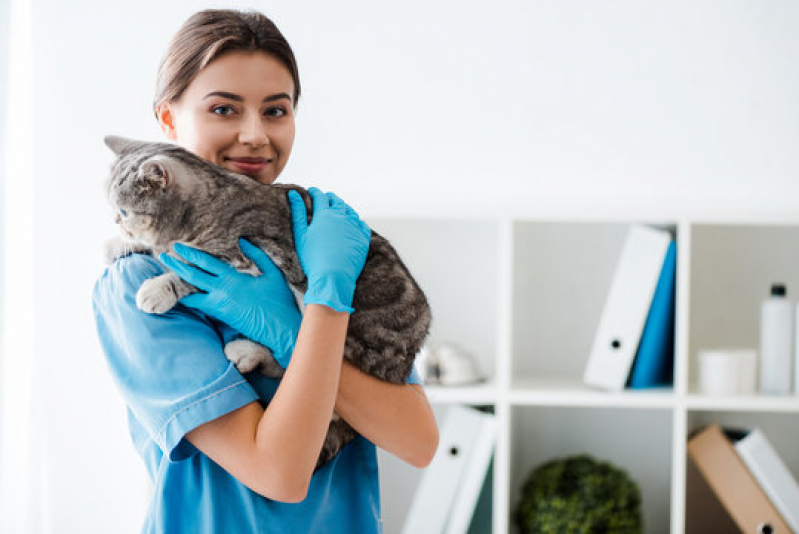 Telefone de Clínica Geral Veterinária Perto de Mim Setor Sudoeste - Clínica Geral para Animais Asa Norte