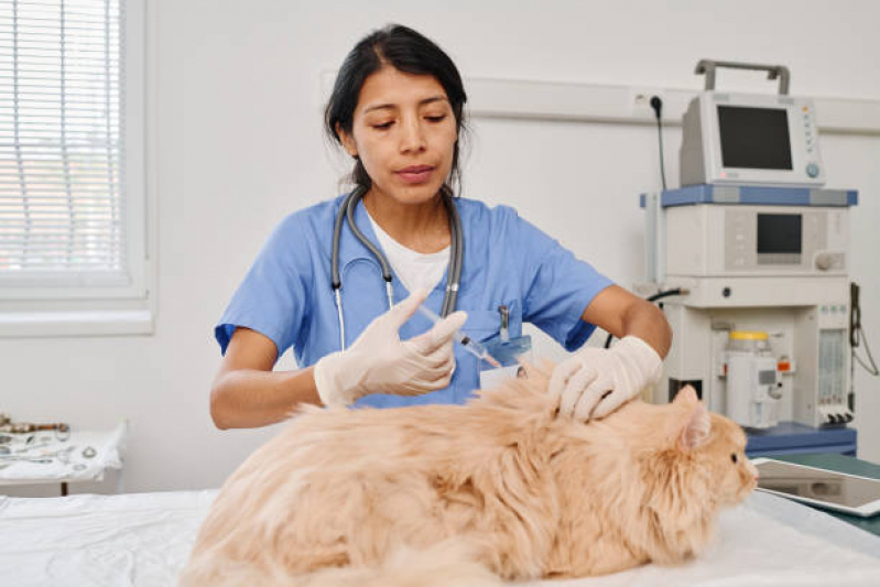 Telefone de Clínica Veterinária Cães e Gatos PARQUE TECNOLOGICO DE BRASILIA GRANJA DO TORT - Clínica Veterinária Cães e Gatos