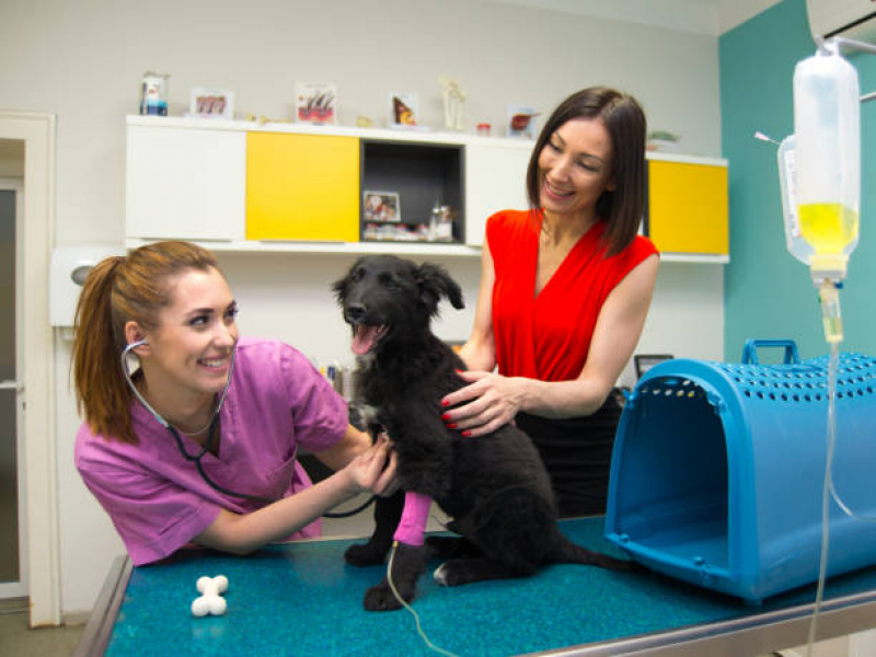 Telefone de Clínica Veterinária e Pet Shop EPNA Estrada Parque das Nações - Clínica Veterinária Asa Norte