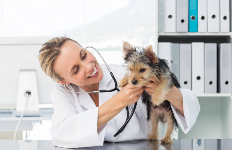 Telefone de Clínica Veterinária Integrativa Animal W3 Sul - Clínica Veterinária Integrativa para Pet