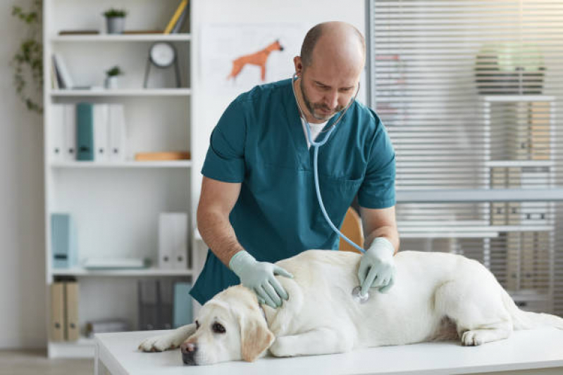 Telefone de Clínica Veterinária Mais Próximo de Mim SETOR MILITAR URBANO - Clínica Veterinária Brasília