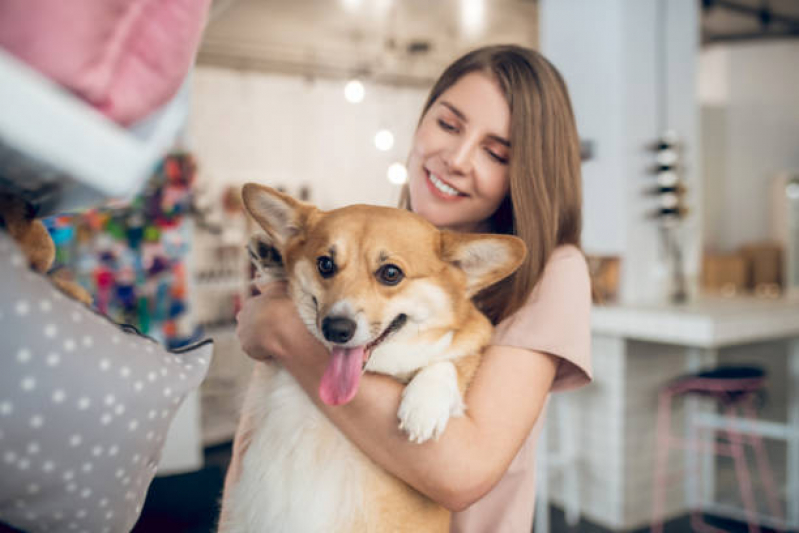 Telefone de Pet Shop com Banho e Tosa Varjão do Torto - Pet Shop para Cachorros