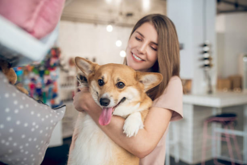 Telefone de Pet Shop com Banho e Tosa Itapuã - Pet Shop Leva e Traz