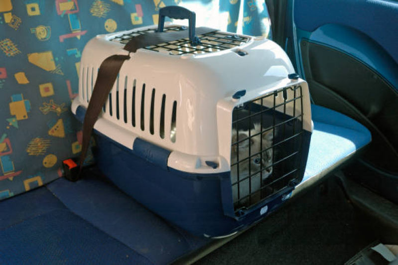 Telefone de Pet Shop Perto de Mim Sul Águas Claras - Pet Shop Cães e Gatos