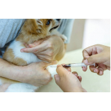 aplicação de vacina contra raiva em cachorro Águas claras