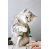 aplicação de vacina de raiva para gatos Condomínio Alphavile