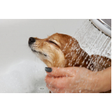 banho natural para animais de estimação ERL Norte