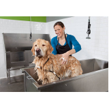 banho natural para animais marcar Lado Sul