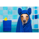 banho terapêutico cachorro clínica Octogonal